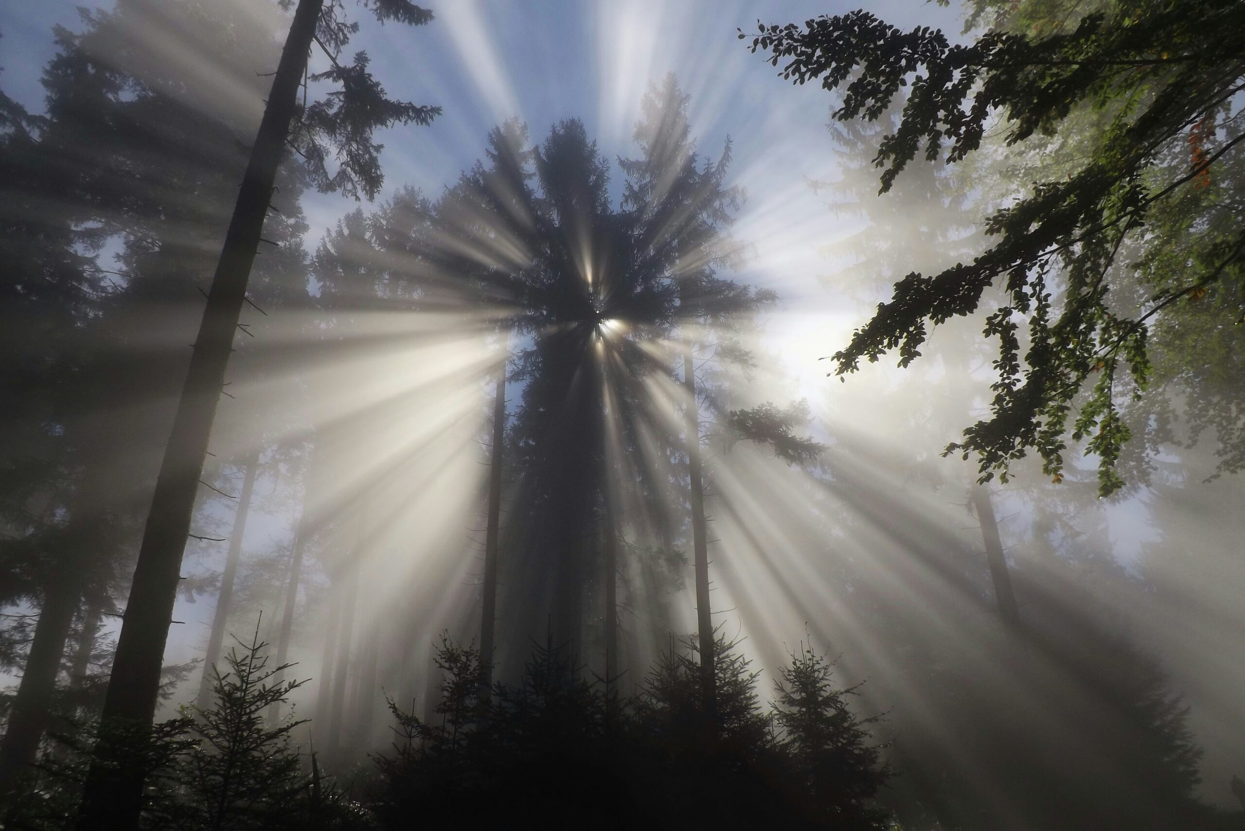The Power of Praise: An Exploration of Praise Song Lyrics